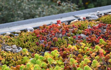 the cost of Stapleford Abbotts green roof installation