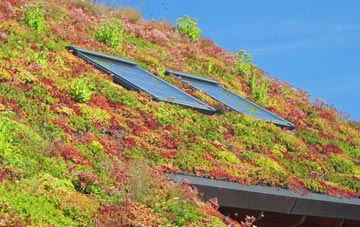 Stapleford Abbotts living roof systems